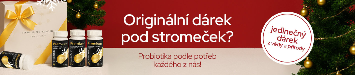 CZ_1418x300_Christmas_10_2025_LP